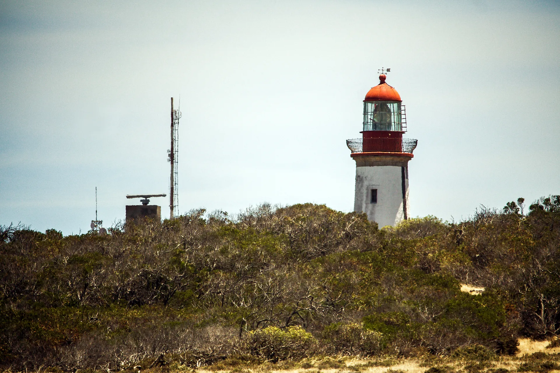 The Minto Hill lighthouse rising above the green scrub of Robben Island