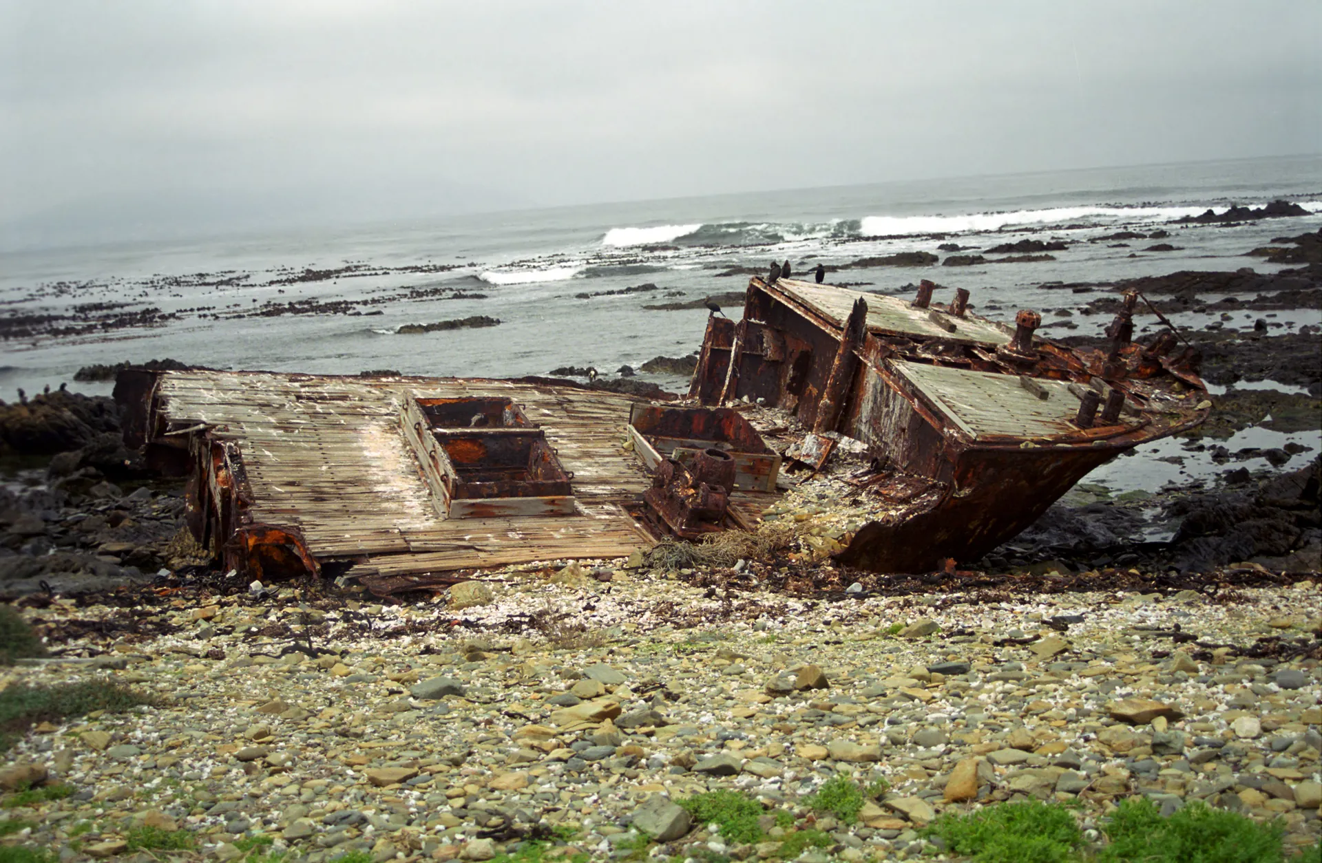 The rusted wreck of a ship on the rocky shore of Robben Island